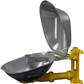 Eyewash, Stainless Steel Bowl and Dust Cover
