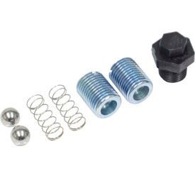Replacement Plug/Pump Adj. Kit For Kerosene Heater