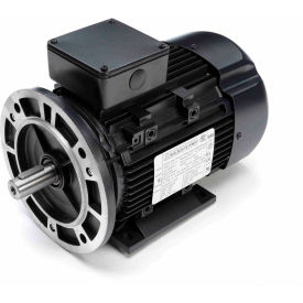 General Purpose IEC Motor, 2 HP, 1745 RPM, 230/460V, TEFC, 90L Frame
