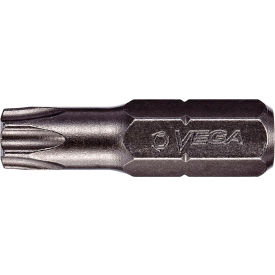 TORX 10 Insert Bit x 1", S2 Modified Steel, Gunmetal Grey
