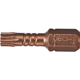 TORX 25 Insert Bit x 1", Gunmetal Bronze, S2 Modified Steel