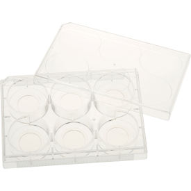 6 Well Tissue Culture Plate with Lid, 20mm Glass Bottom, Sterile, 5/PK