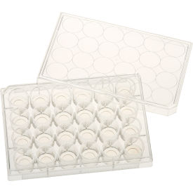 24 Well Tissue Culture Plate with Lid, 10mm Glass Bottom, Individual, Sterile, 5/PK