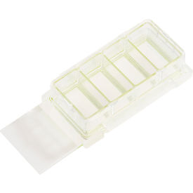 4 Chamber Cell Culture Slide, Glass, Sterile