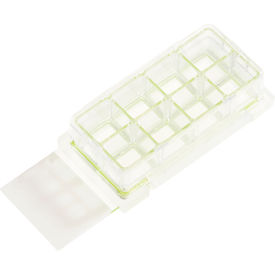 8 Chamber Cell Culture Slide, Glass, Sterile