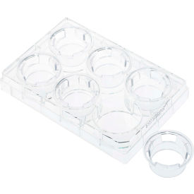 Permeable Cell Culture Inserts, Packed in 6 Well Plate, Hanging, PC, 3.0m, Sterile