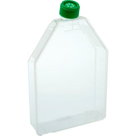 300cm2 Tissue Culture Flask - Vent Cap, Sterile