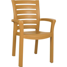 Resin Dining Arm Chair, Teak Brown