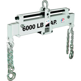 Load Leveler With 6000 Lifting Capacity