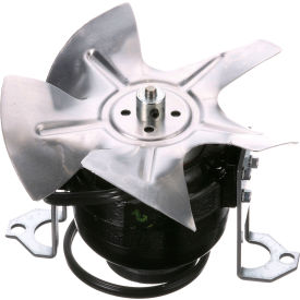 Allpoints 681298 Agitator Motor