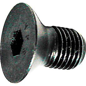 Cap Screw