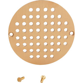 Drain Grate, Floor (6")