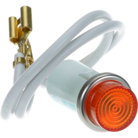 Allpoints Light, Indicator, Amber, 125V For Duke Manufacturing