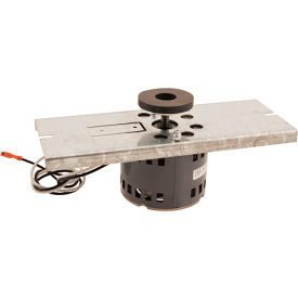 Motor, Pump, W/Drive Assembly For Cecilware Corporation