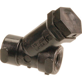 Strainer, Y, 1/4" Npt, PVC