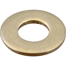 Washer, Flat/Ss (100)