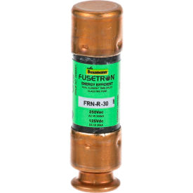 Allpoints 381421 Fuse