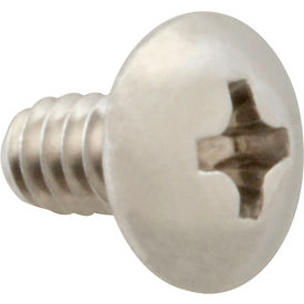 Screw, Mach/Th/Ss (100)