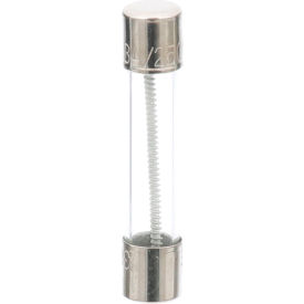Fuse, Slo Blow, 3A For Accu-Temp