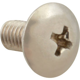 Screw, Mach/Th/Ss (100)