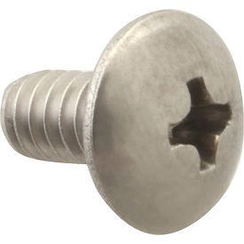 Screw, Mach/Th/Ss (100)