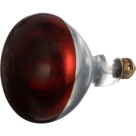 Infra-Red Lamp (Red)120V, 250W