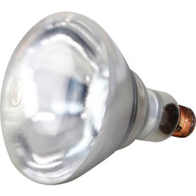 Infra-Red Lamp (Pk 12)(Clear) 120V, 250W