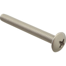 Screw, Mach/Th/Ss (100)