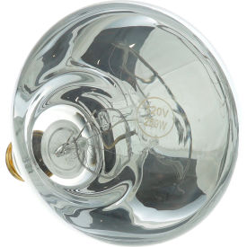 Infra-Red Lamp (Pack of 12) 120V, 250W