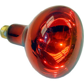 Infra-Red Lamp (Pk 12) 120V, 250W