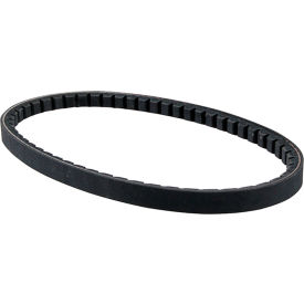Allpoints 1591159 Belt, Ax21