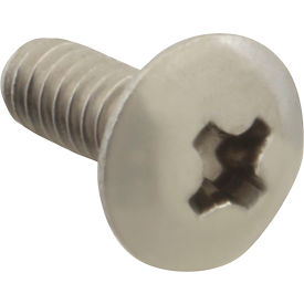 Screw, Mach/Th/Ss (100)