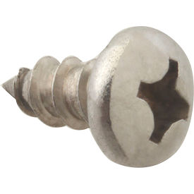 Screw, Sm/Ph/Ss (100)