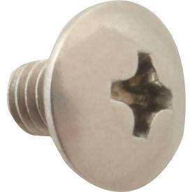 Screw, Mach/Th/Ss (100)