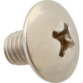 Screw, Mach/Th/Ss (100)