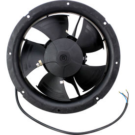 Fan Motor - 115V