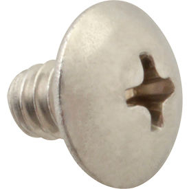 Screw, Machine/Thermal/Stainless Steel (100)