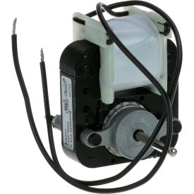 Motor - 120V