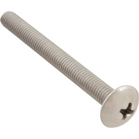 Screw, Mach/Th/Ss (100)