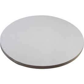 Filter, Oil - Disc (30)