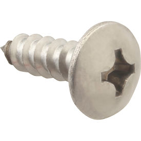 Screw, Sm/Th/Ss (100)