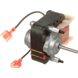 Fan Motor - 120V