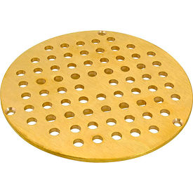 Drain Grate, Floor (8")