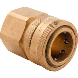 Disconnect, Female, 3/4" Npt For Darling International