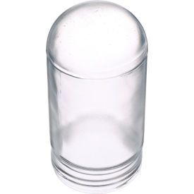 Plastic Coated Glass Globe; 3 1/4" x 6 3/4"