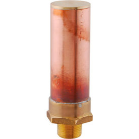 Arrester, Water, 3/4"Npt