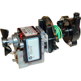 Ice Machine Pump - 120V