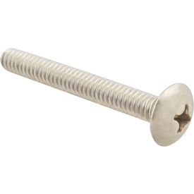 Screw, Mach/Th/Ss (100)