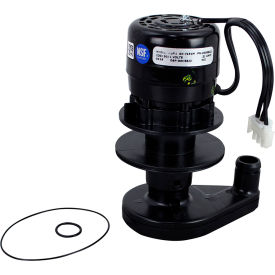 Water Pump - 230V For Manitowoc Machines