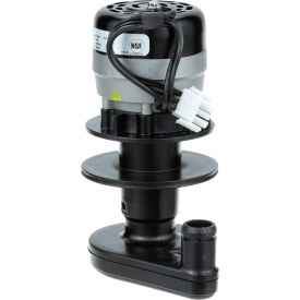 Water Pump - 230V For Manitowoc Machines